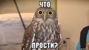 Файл:Мгцпр.jpg