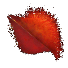 Fire seed