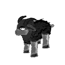 Black sheep