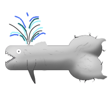 Pet Moby Dick