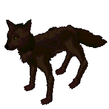 Wolf