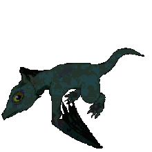 Holy baby dragon