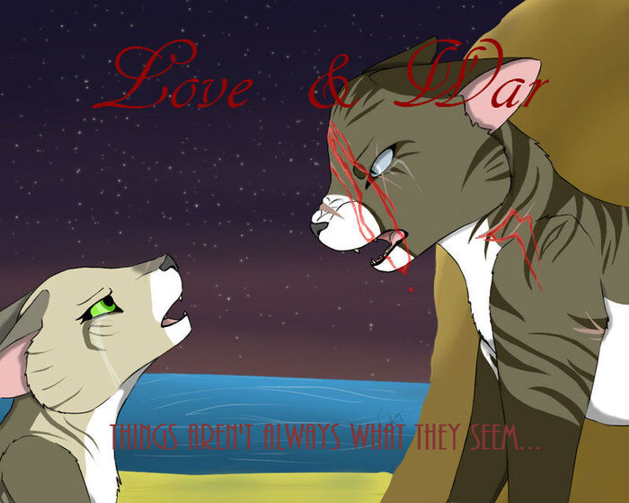 Love and War cover