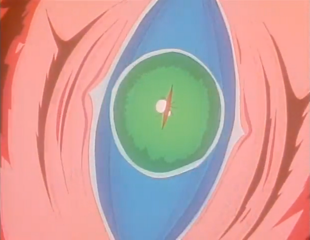File:Setsuna's Eye.png