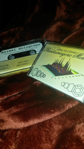 File:PM Cassettes by CMM.jpg