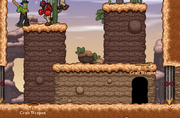 Cactuscanyon