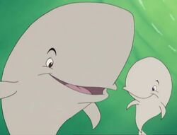 White Whales
