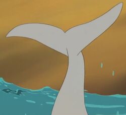Moby Dick