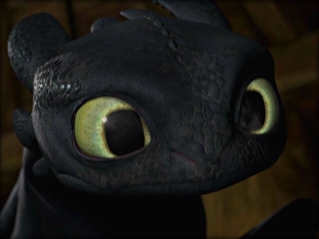 File:Toothless staring at Hiccup.jpg