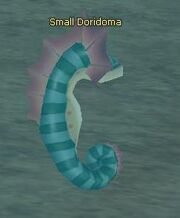 Doridoma