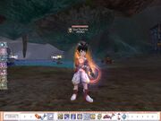 Flyff00020