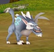 Lawolf
