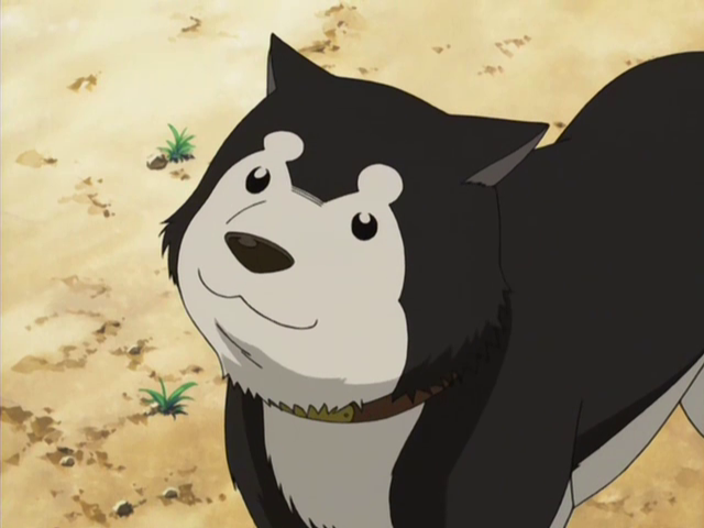 Arquivo:BlackHayate2003.png