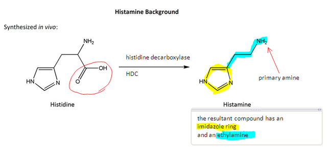 File:Histamine synthesis.png