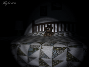 Night 666