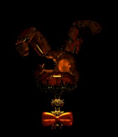The Head