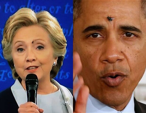 File:Obama Clinton Fly.jpg