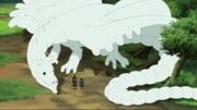 C2dragon