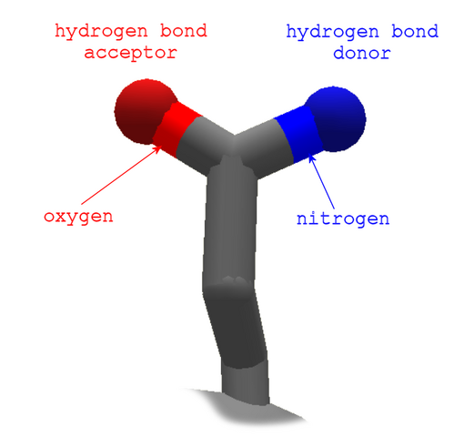 File:Glutamine.cpk.cartoon.annotated.png