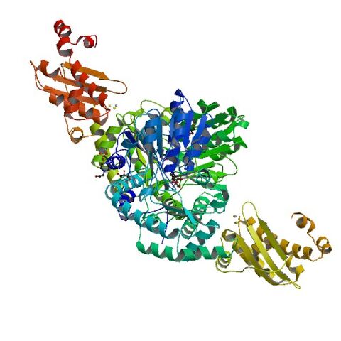 File:4EB5 bio r 500.jpg
