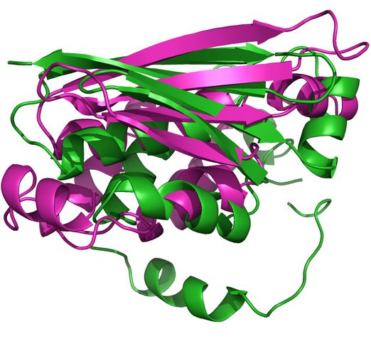 Datei:T0598m2b.png