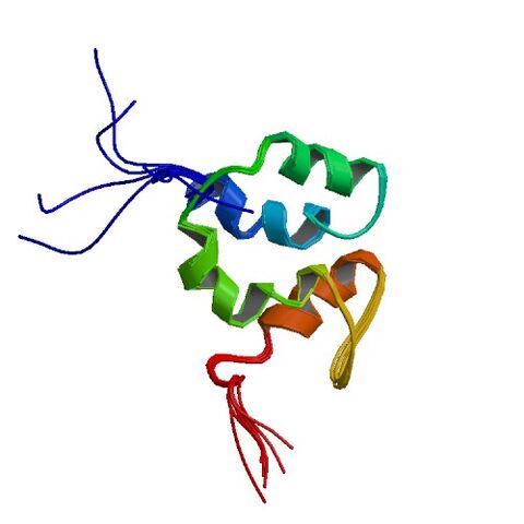 File:1F6V asym r 500.jpg