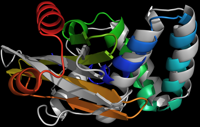 Datei:R0018VC5.png