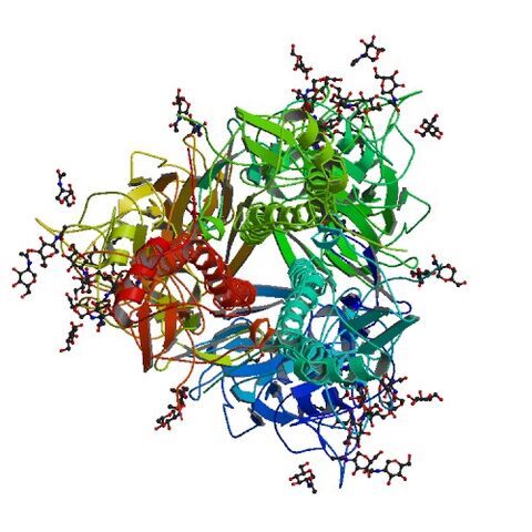 File:4M44 bio r 500.jpg