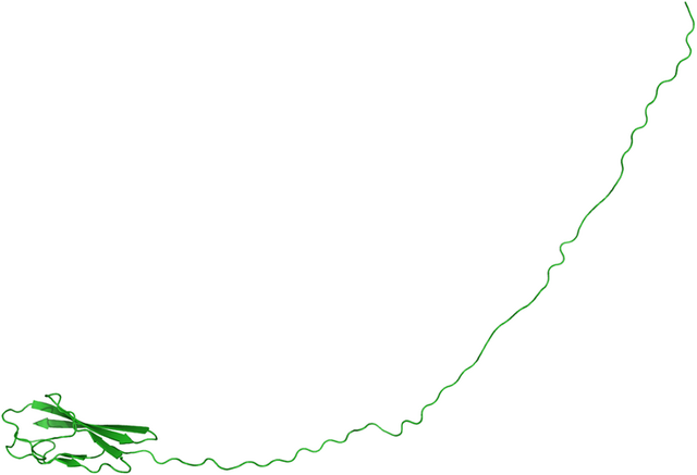 Datei:T0590.png