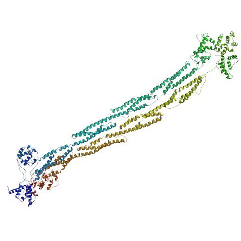File:1SJJ bio r 500.jpg