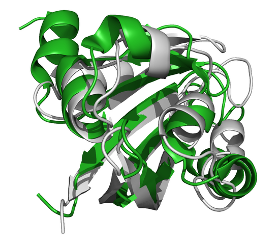 Datei:T0523m5a.png