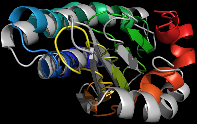 Datei:R0018VC1.png