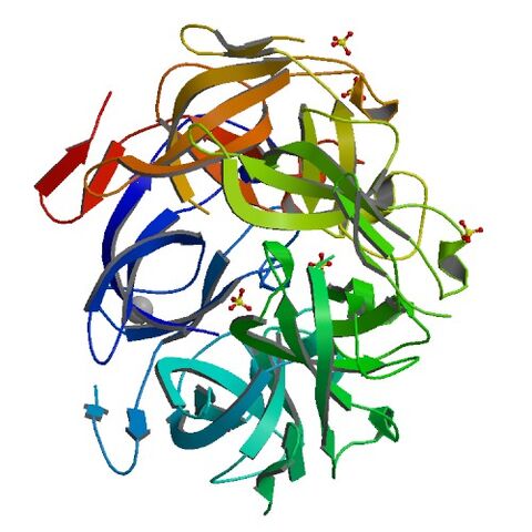 File:4N8F bio r 500.jpg