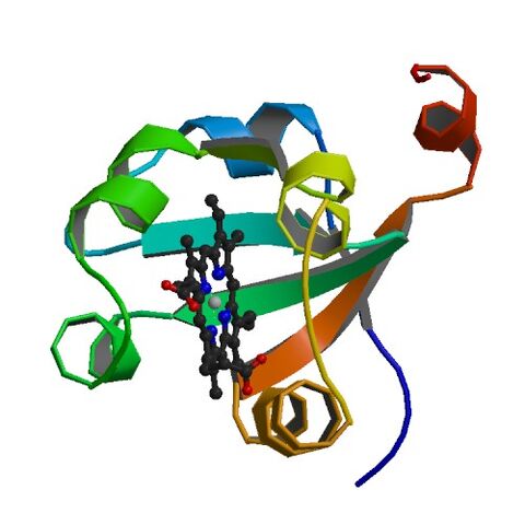 File:1CYO bio r 500.jpg