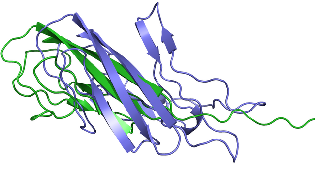 Datei:T0590rba.png