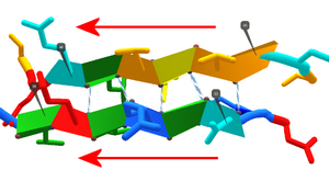 Parallel sheets