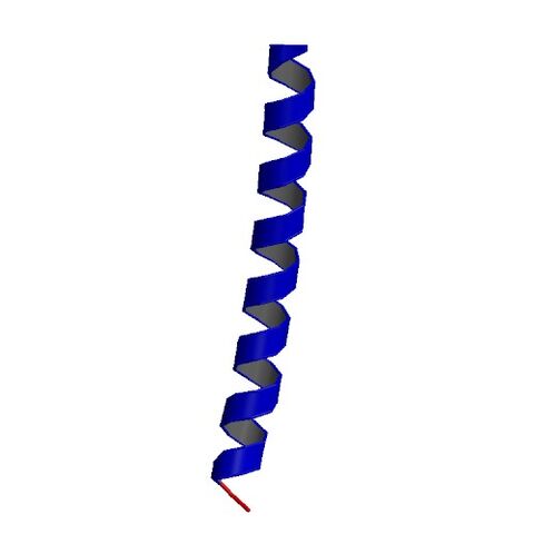 File:1P9I asym r 500.jpg