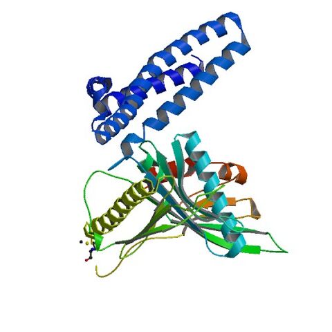 File:1GQE bio r 500.jpg