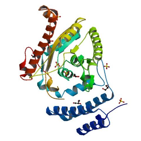 File:1IUQ bio r 500.jpg