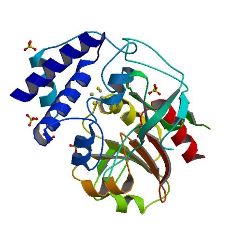 File:2PU9 bio r 500.jpg