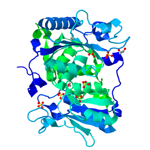 File:4H17.pdb1.png