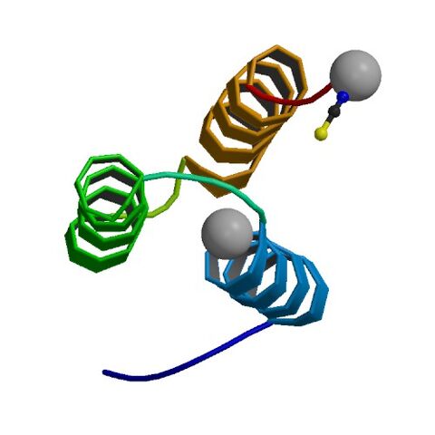 File:4NPD bio r 500.jpg
