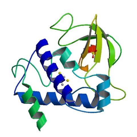 File:1DJ7 bio r 500.jpg
