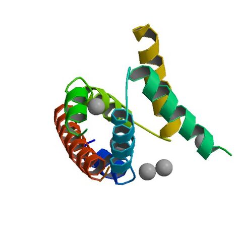 File:3IM4 bio r 500.jpg
