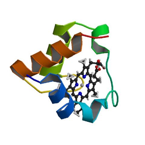 File:1C75 bio r 500.jpg