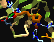 Ligand