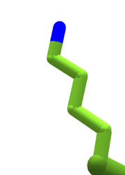 Lysine.enzdes