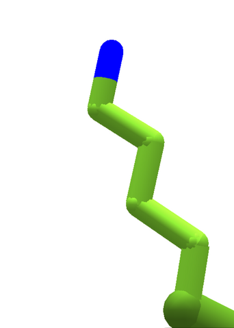 File:Lysine.enzdes.png