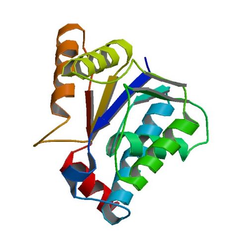 File:2NX2 bio r 500.jpg