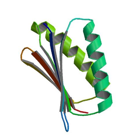 File:1QYS bio r 500.jpg